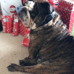 Meet your Posher, Emma